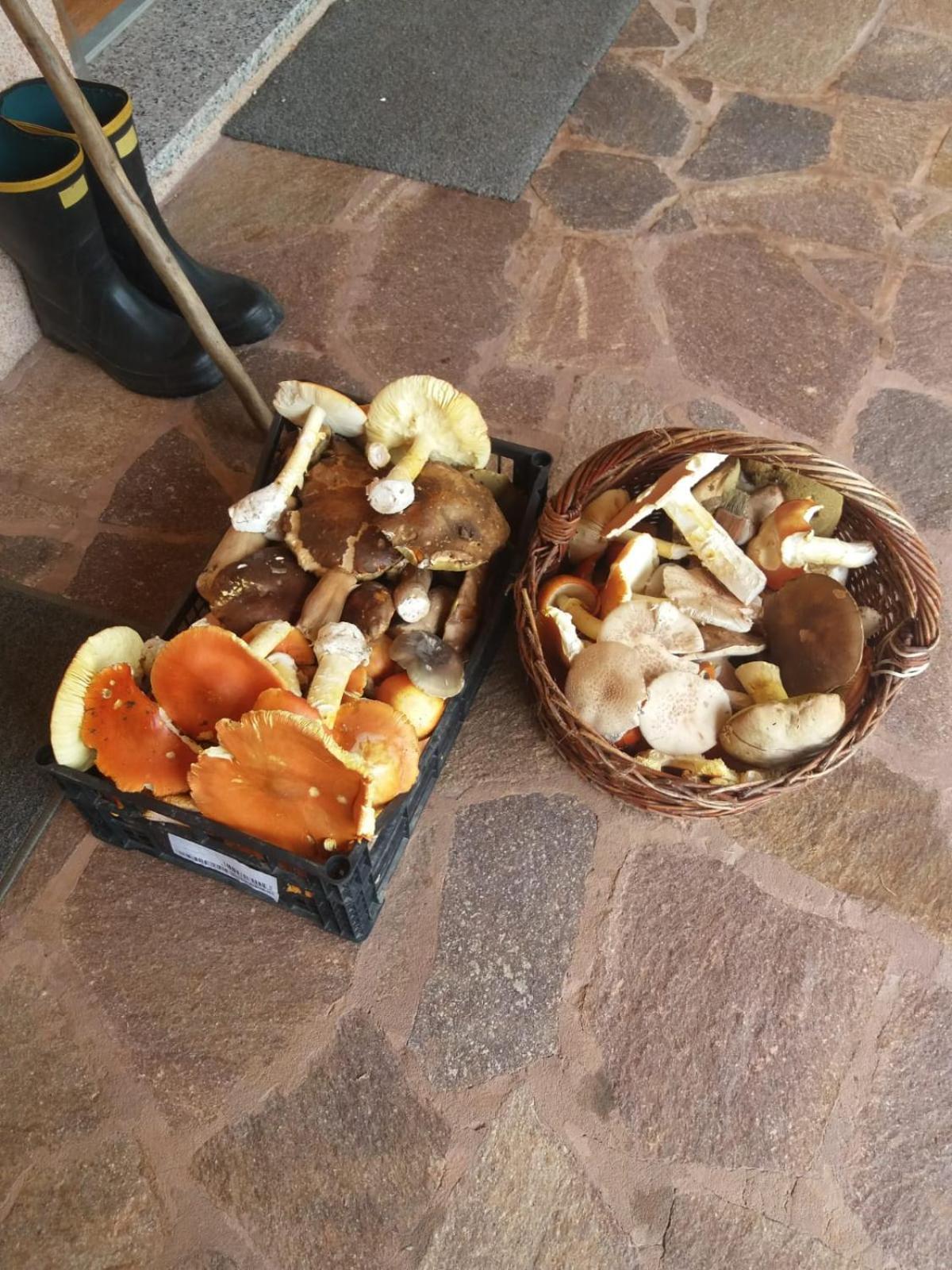 Wellness Villa Istriana Murine 外观 照片
